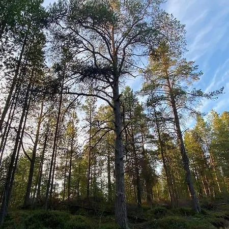 Horská chata Kaltioranta Inari Partakko